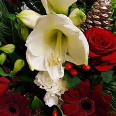 Classic winter hand tied