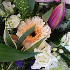 mother's day butterfly