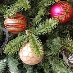 Christmas tree bubbles