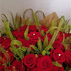 50 luxury red roses