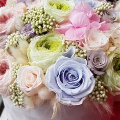 Preserved arrangement in velvet box