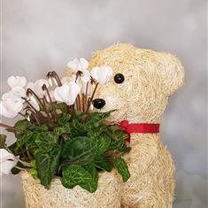 Flower pot Polar bear
