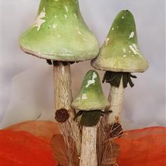 Mushrooms