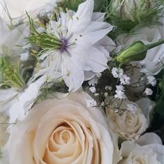 White summer bride