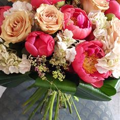 Peonies 