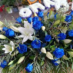 Blue and white spray 