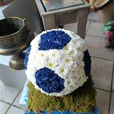 Ball Tottenham Hotspur 