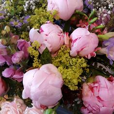 Peonies in mix