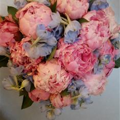 Brides pink peony 