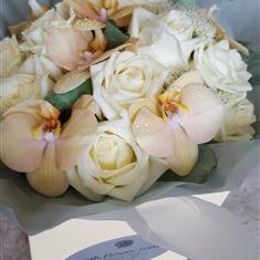Pastel orchids