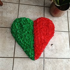 Irish Mayo county flag