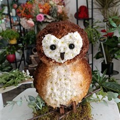 Owl 3d shape