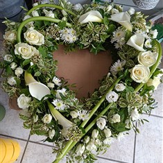 Open Calla lily heart