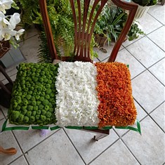 Irish flag 