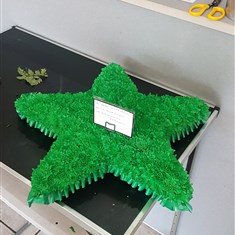 Star Green