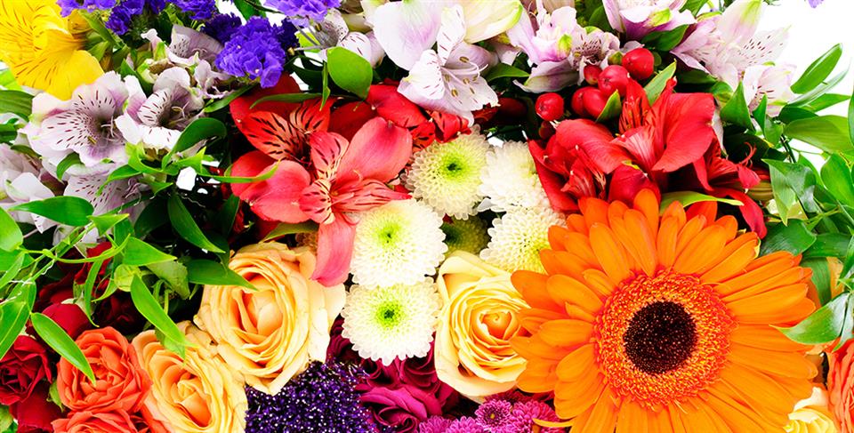 Fresh Flower Scent