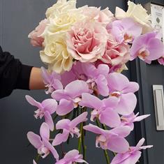 Rose's and orchids